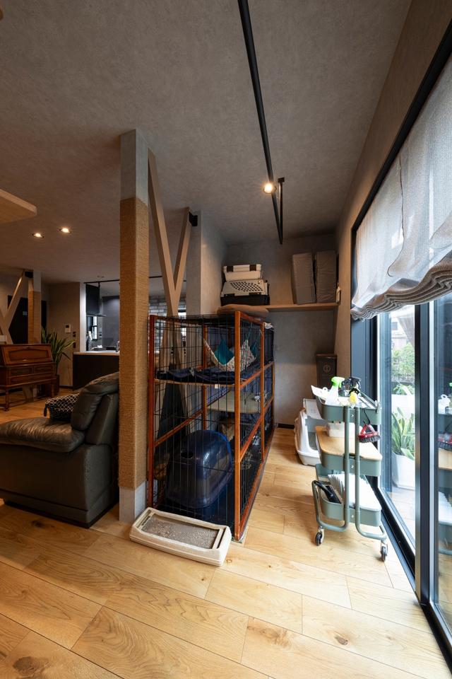 renovationImage